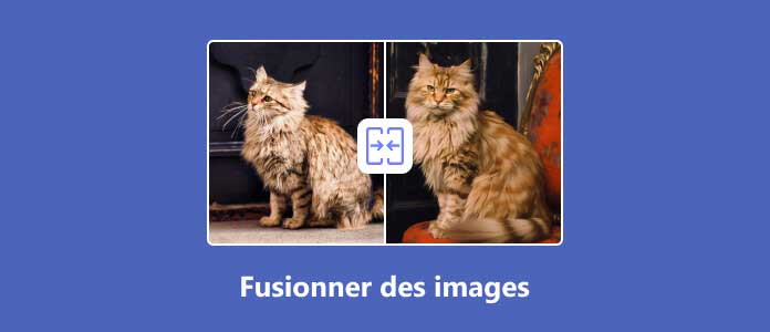 La fusion d'images