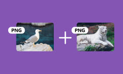 3 solutions simples pour fusionner des PNG