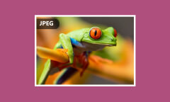 Les images JPEG