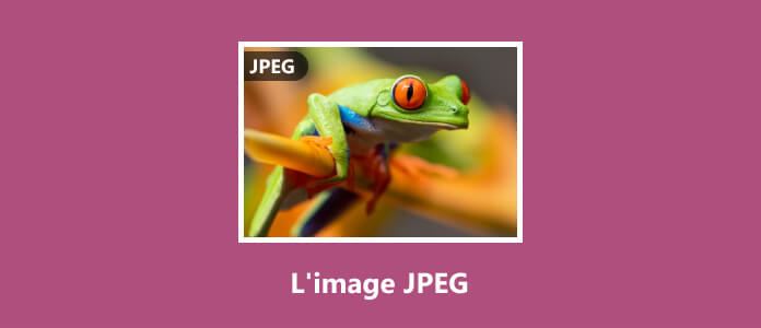 Une image JPEG
