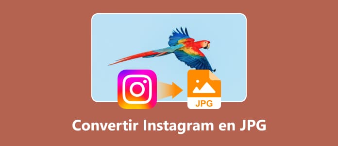 Exporter Instagram en JPG 