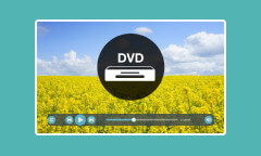 Logiciels lecteurs DVD