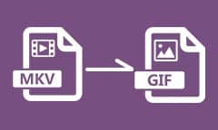 Convertir MKV en GIF