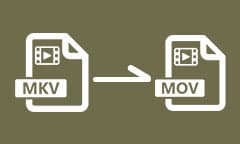 Convertir MKV en MOV