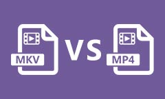 Comparaison entre MKV et MP4