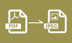 Convertir PDF en JEPG