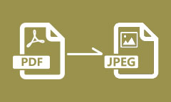 Convertir PDF en JPEG