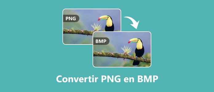 PNG en BMP