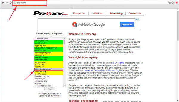 Proxy Web