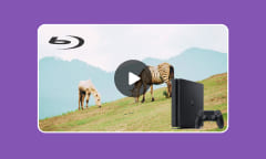Est-ce que la PS4 peut servir de lecteur Blu-ray ?