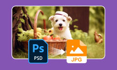 3 solutions pour changer PSD en JPG