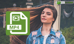 Télécharger Putlocker en MP4