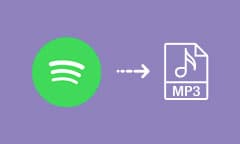 Télécharger ou convertir Spotify en MP3