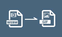 Convertir WEBM to GIF
