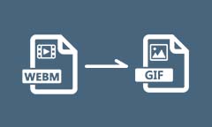 Convertir WEBM en GIF