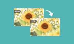 4 façons pratiques de convertir des images WebP en JPG